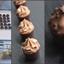 Taystful Online Passion Fruit Butter Ganache Cup Workshop 26th July 2020